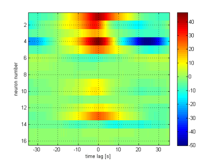 Auto- and crosscorrelation of neuron #1 with itself (trace 1) and all the other 15 neurons.