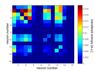 Transfer entropy matrix, averaged over delays of 1.5-5 sec.