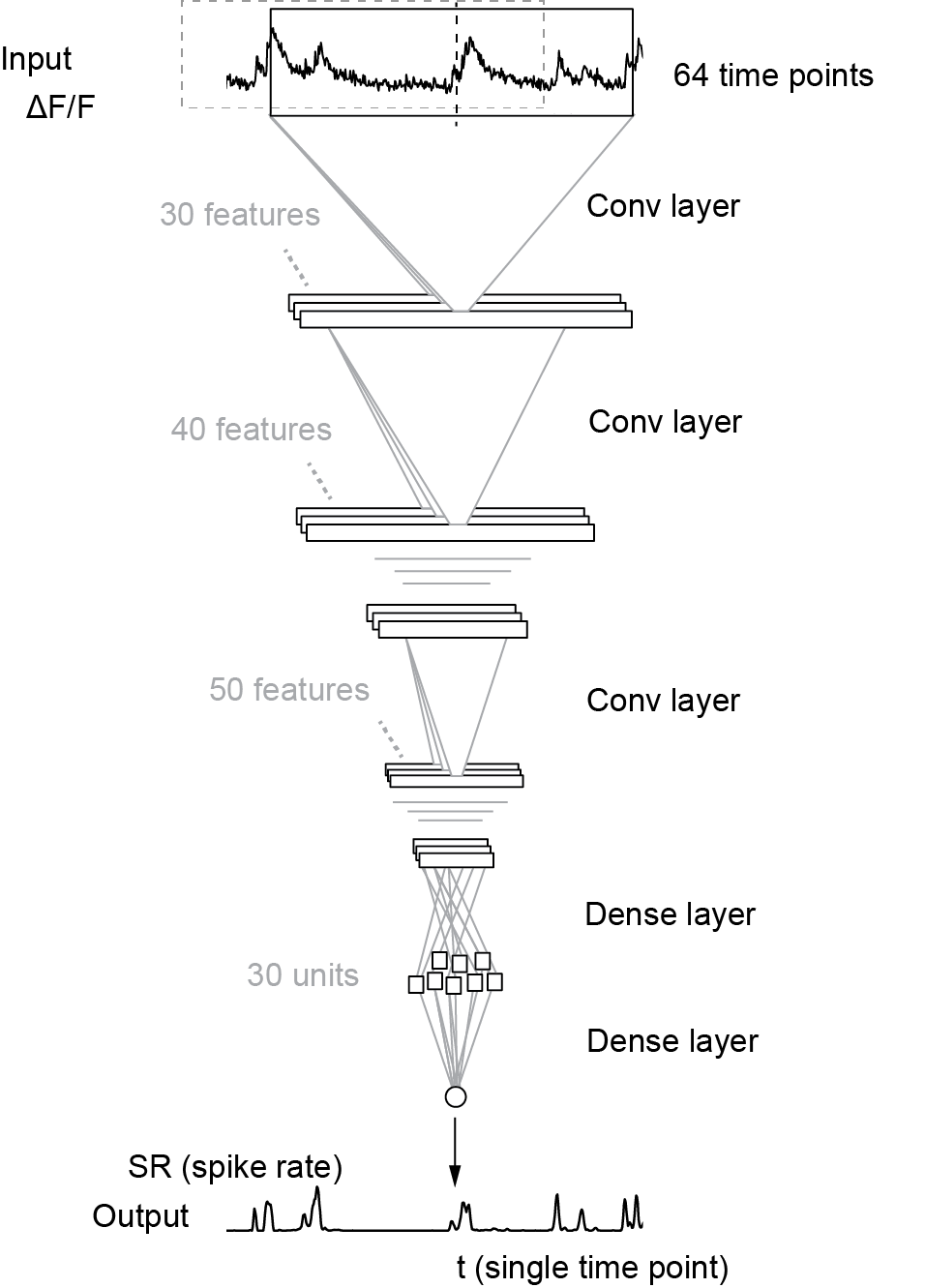 Online spike rate inference with Cascade | A blog about neurophysiology