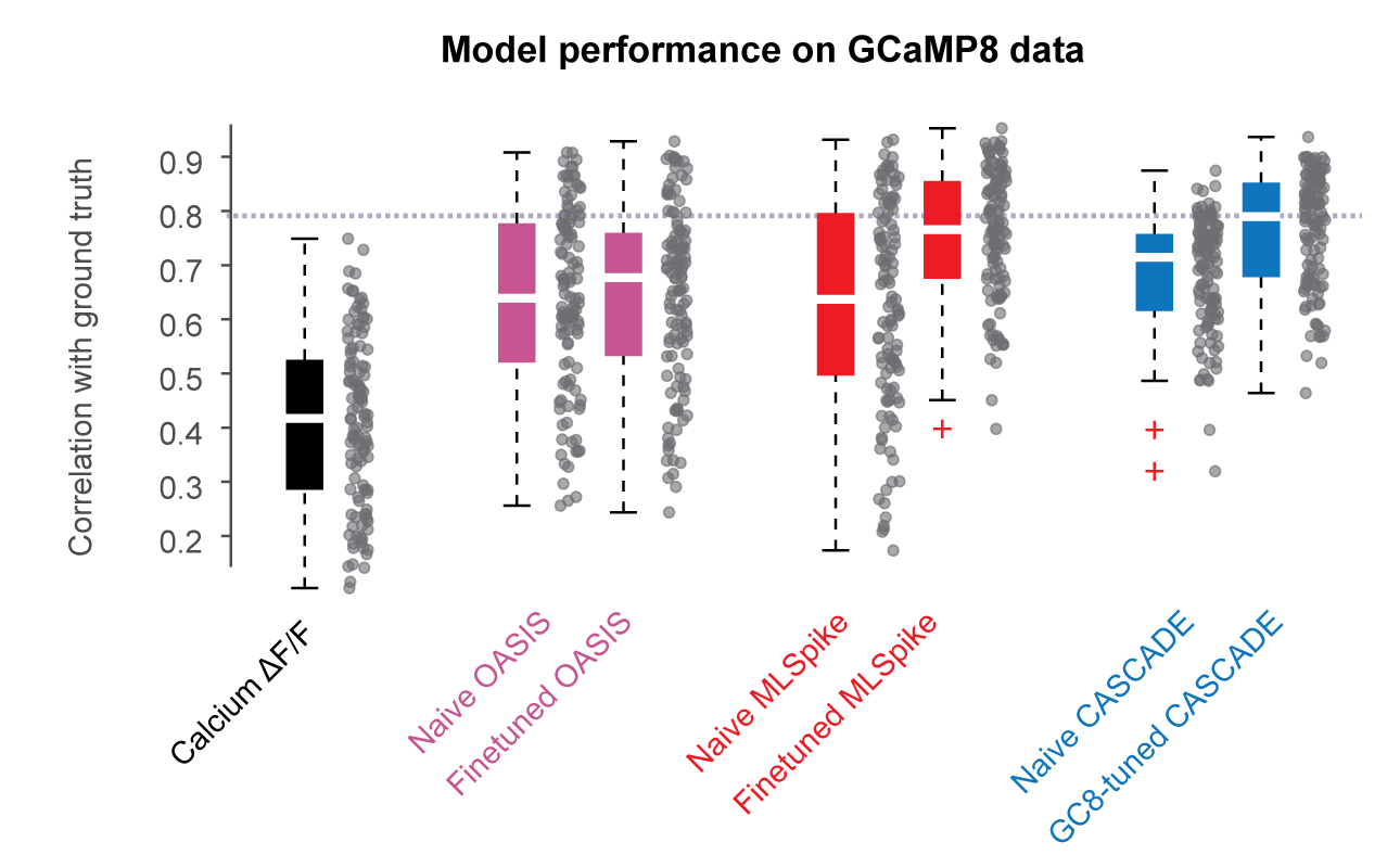 Spike inference with GCaMP8: new pretrained models available | A blog ...